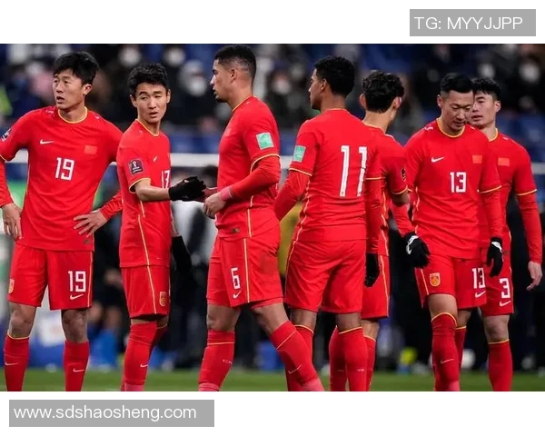 中国足球热潮下的明星球员现状与影响力分析 中国足球热潮下的明星球员现状与影响力分析