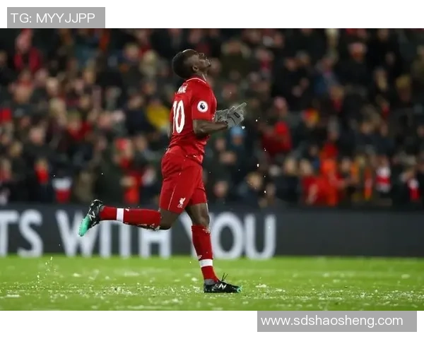 重庆网球队以89分领跑总决赛积分榜展现强大实力