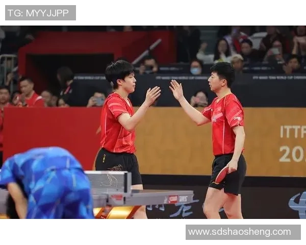 上海乒乓球队团队协作的成功经验与挑战分析 上海乒乓球队团队协作的成功经验与挑战分析