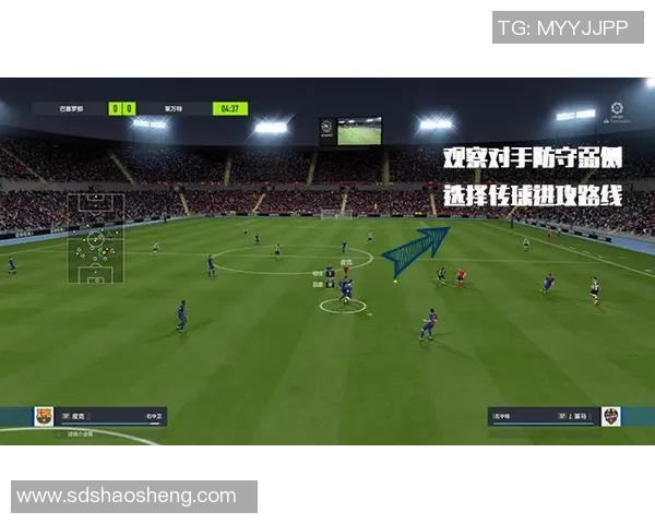 成都乒乓球队边路渗透战术解析与深度剖析 成都乒乓球队边路渗透战术解析与深度剖析