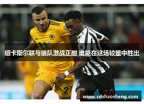 纽卡斯尔联与狼队激战正酣 谁能在这场较量中胜出