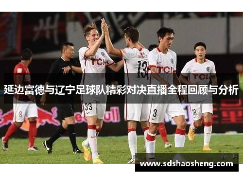 延边富德与辽宁足球队精彩对决直播全程回顾与分析