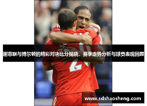 谢菲联与博尔顿的精彩对决比分揭晓，赛季走势分析与球员表现回顾